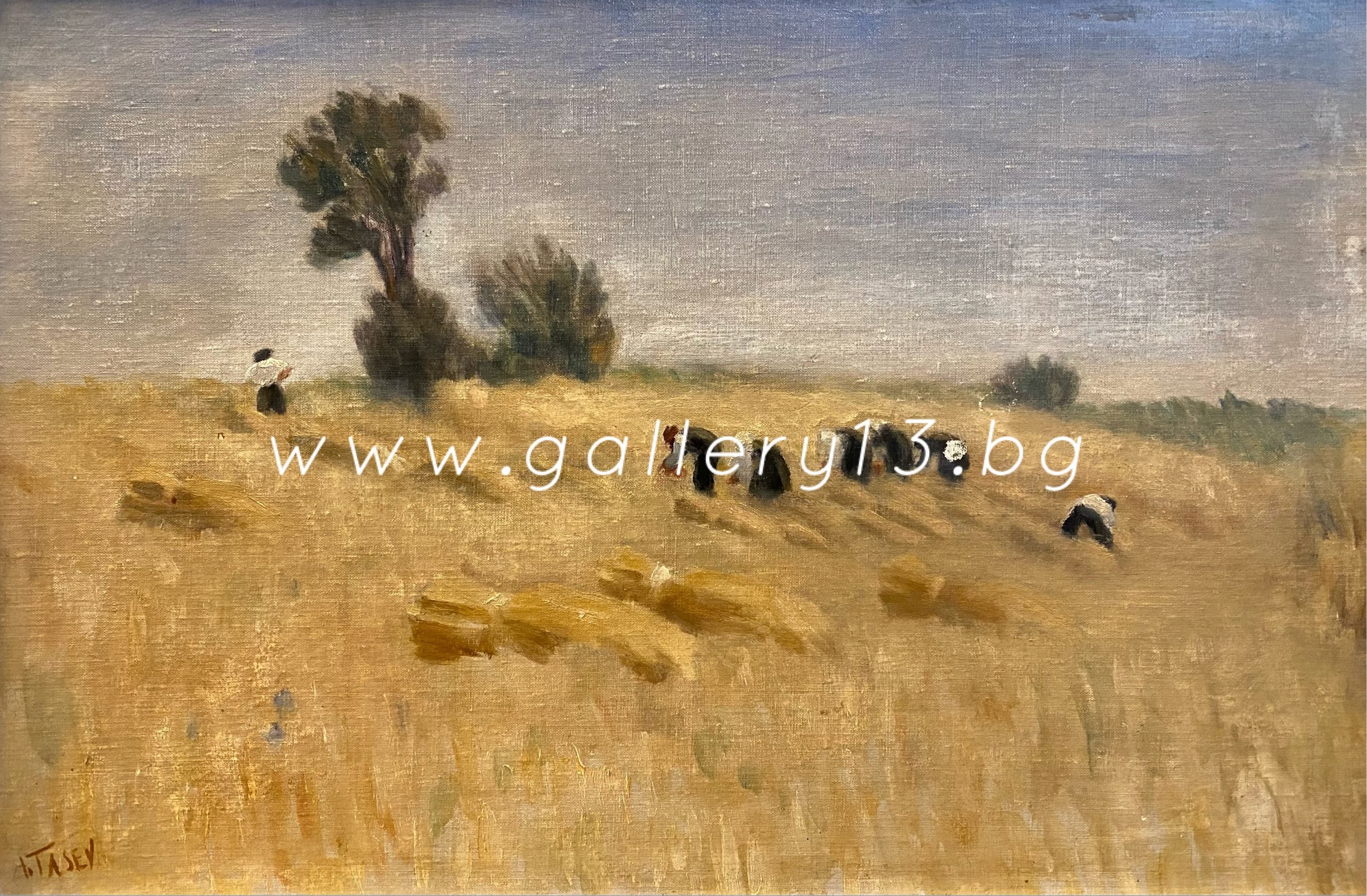 Атанас Тасев - “На полето”