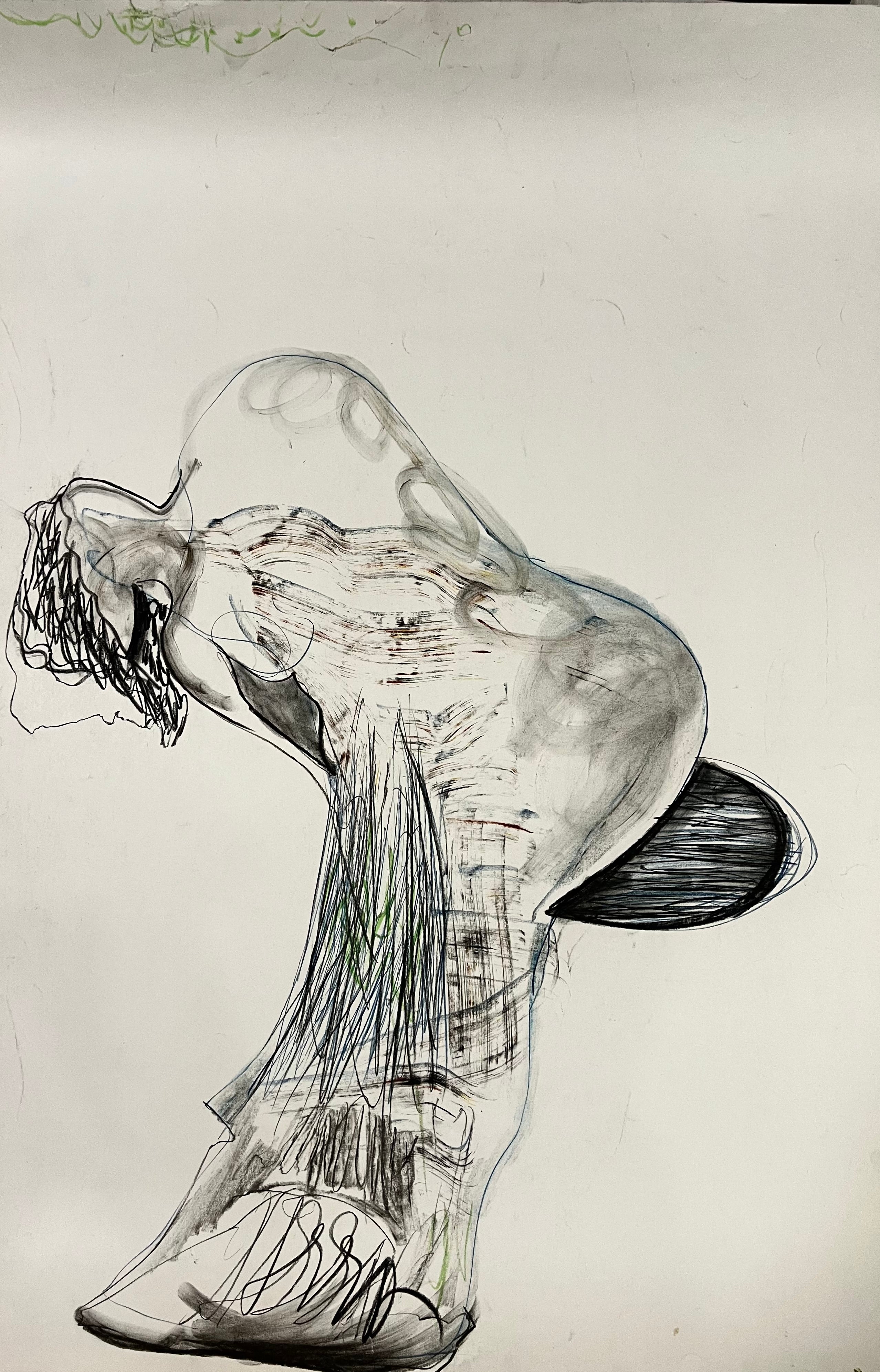 Греди Асса -"Тяло V"