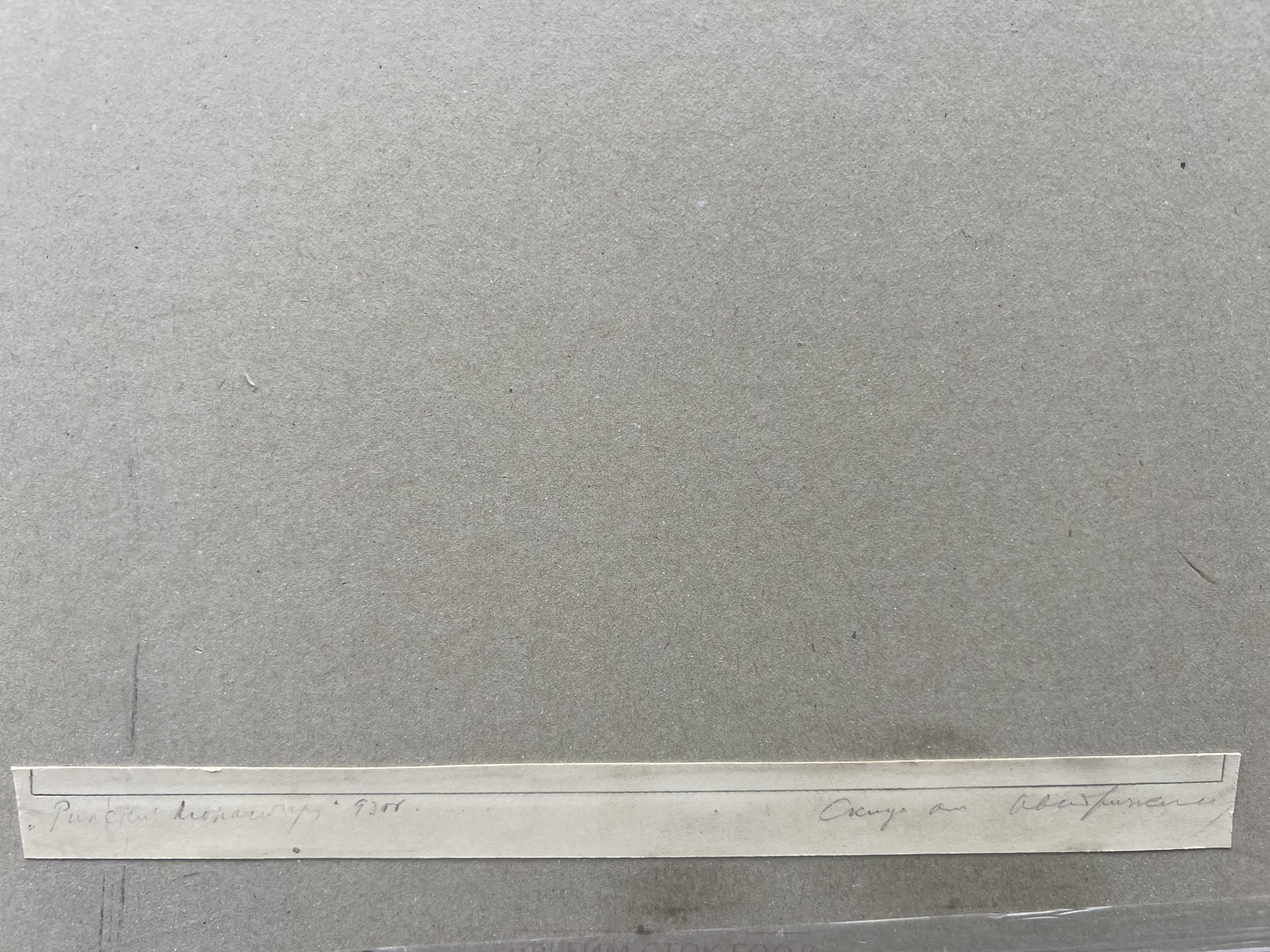 Иван Тричков – “Рилски манастир”